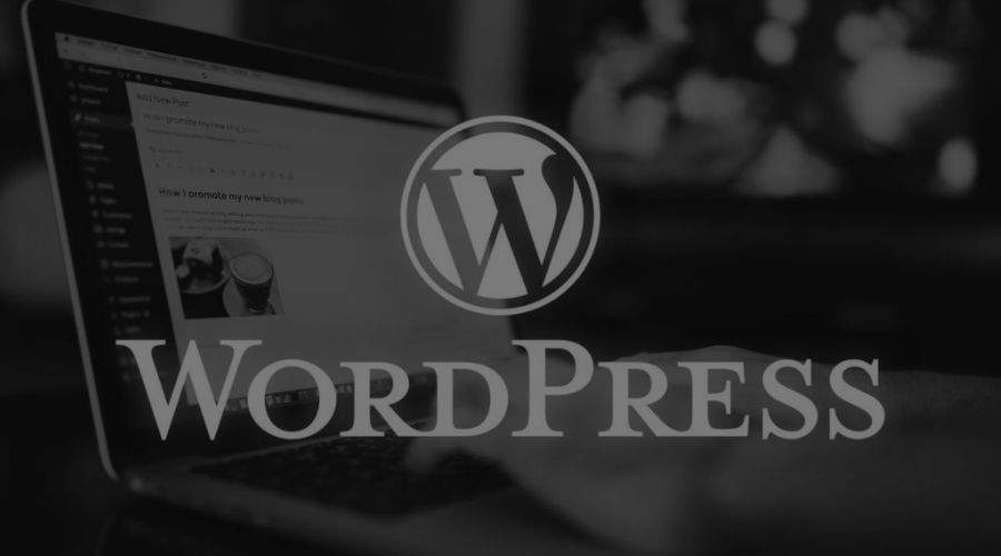 SEO para WordPress